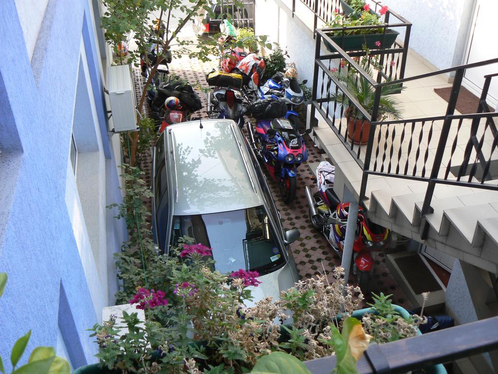 Hostel Tropical Ντρομπέτα-Τούρνου Σεβερίν Εξωτερικό φωτογραφία