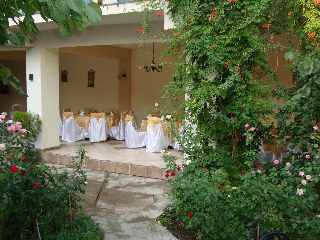 Hostel Tropical Ντρομπέτα-Τούρνου Σεβερίν Εξωτερικό φωτογραφία