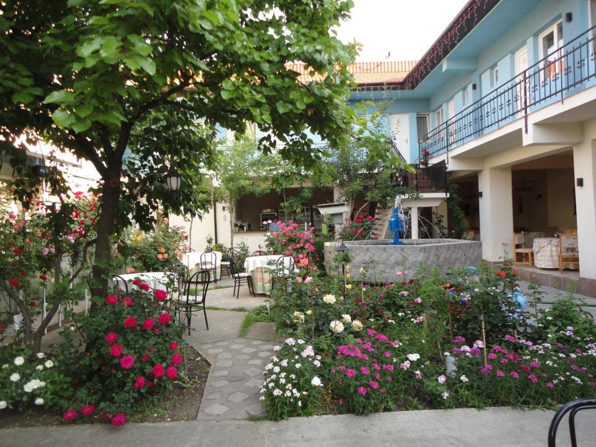 Hostel Tropical Ντρομπέτα-Τούρνου Σεβερίν Εξωτερικό φωτογραφία